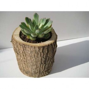 natuur in je interieur